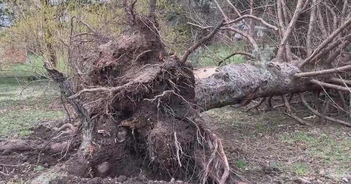 Michigan residents, local officials survey damage from Sunday’s storm Michigan residents, local officials survey damage from Sunday’s storm