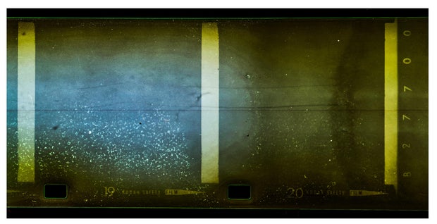 Once revealed, the film photographs did not reveal any evidence of the Loch Ness Monster. 