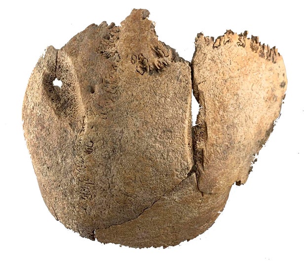 Austria Roman Empire Mass Grave