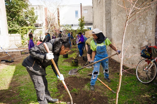 People work in a garden planting trees 