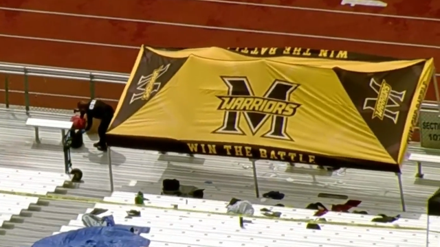tarp.png 