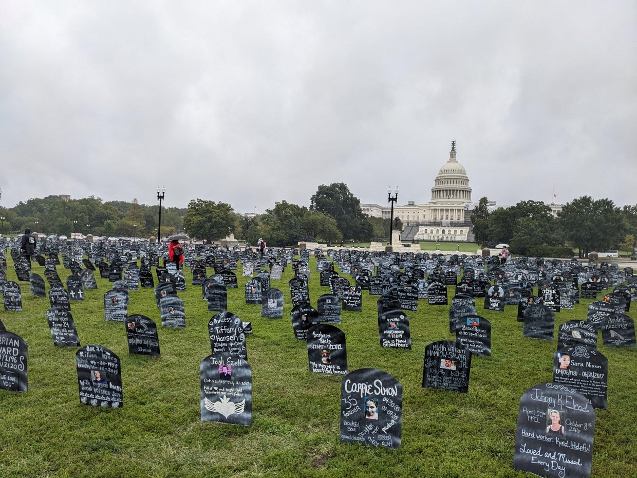 Opioid victims' memorial outside the White House