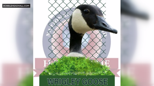 wrigley-goose-bobblehead.png 
