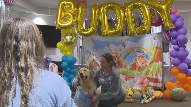 Buddy retirement 