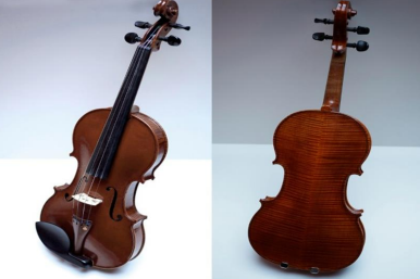 violin-taken-in-blue-line-robbery.png 