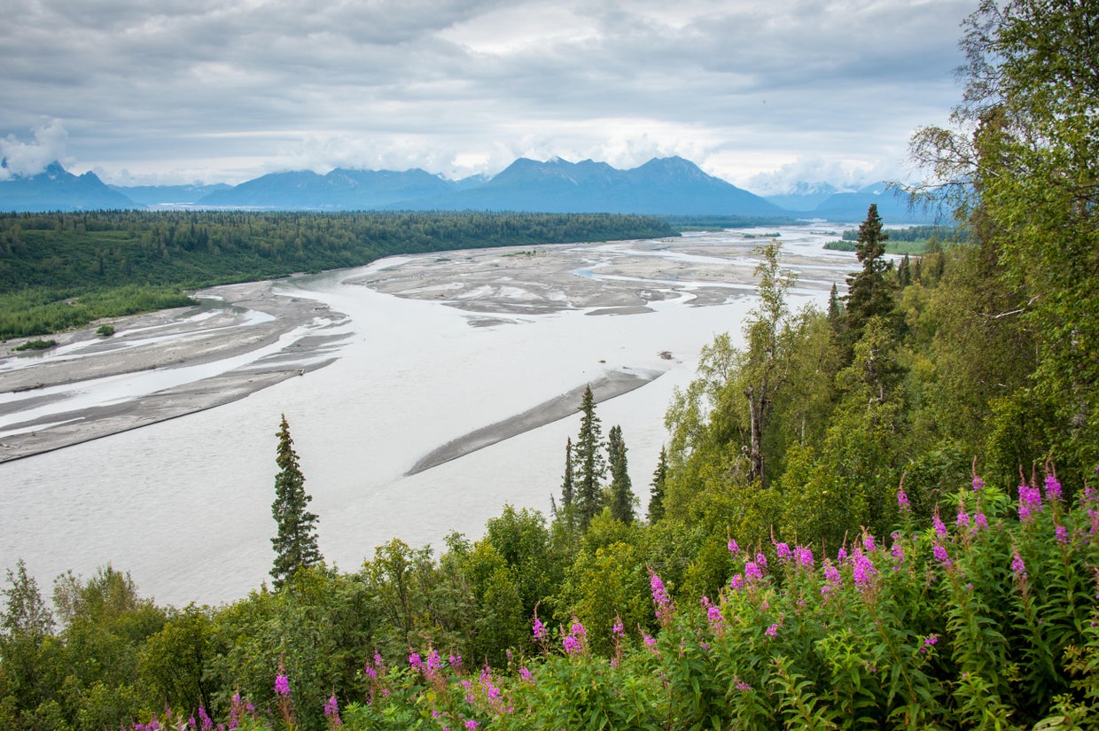 Landscape shot of the Susitna River off of Parks Highway in Alaska