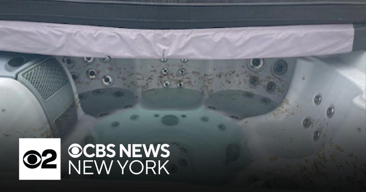 Vrbo refunds family over mold in Poconos rental property - CBS New York