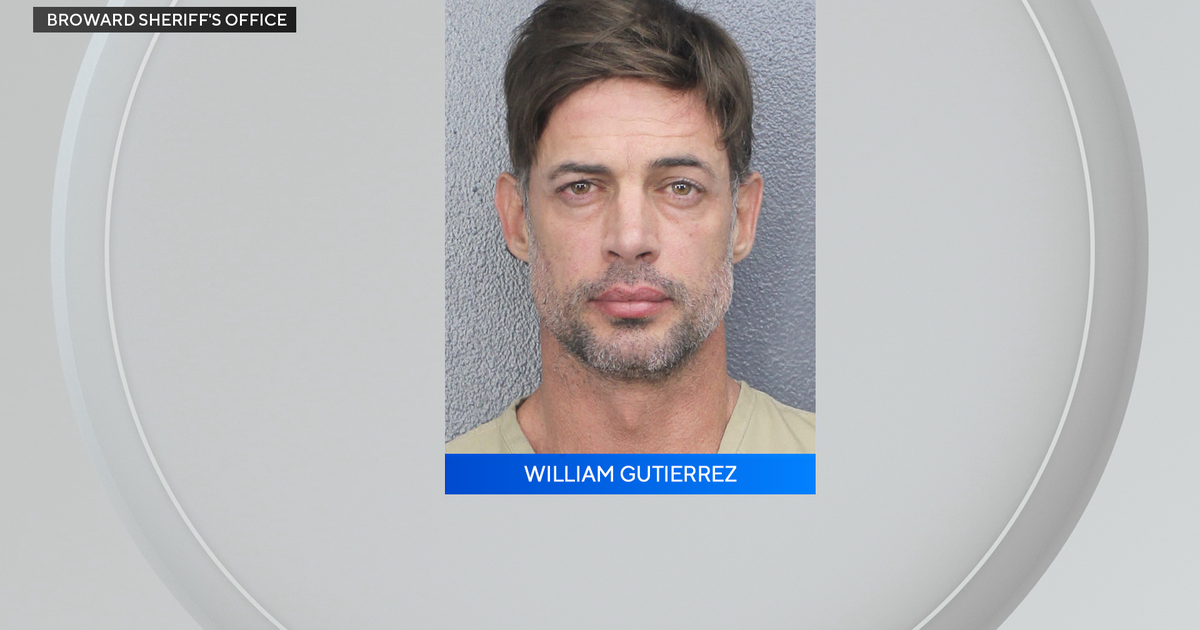 Actor William Levy arrested in Broward on disorderly intoxication, records show Actor William Levy arrested in Broward on disorderly intoxication, records show