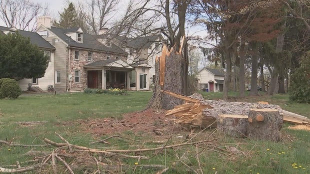 A tree is damaged in the yard of a house after the storm in Bucks County 