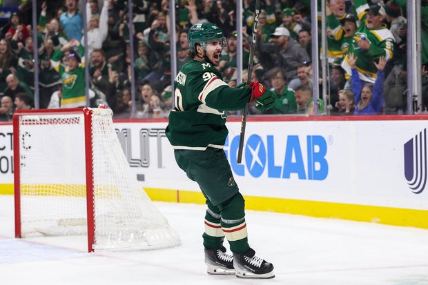 Ducks Wild Hockey 