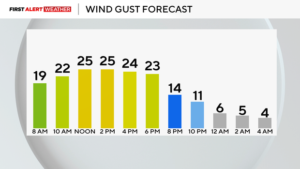 windgust.png 