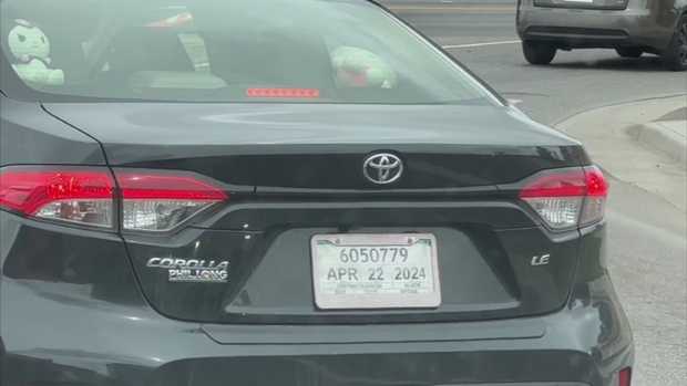 license-plates.png 