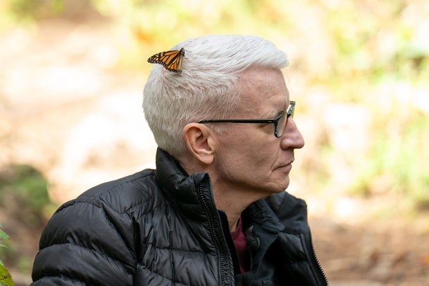 Monarch butterfly on Anderson Cooper's head 