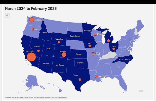 Bird flu map 