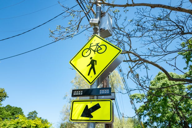 Crosswalk Warning Device 
