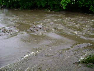 Screenshot from a video shot by Katera Moore, Ph.D of a combined sewer overflow in Aug. 2009 along the confluence of Frankford and Tacony Creeks at Philadelphia's Juniata Park. 