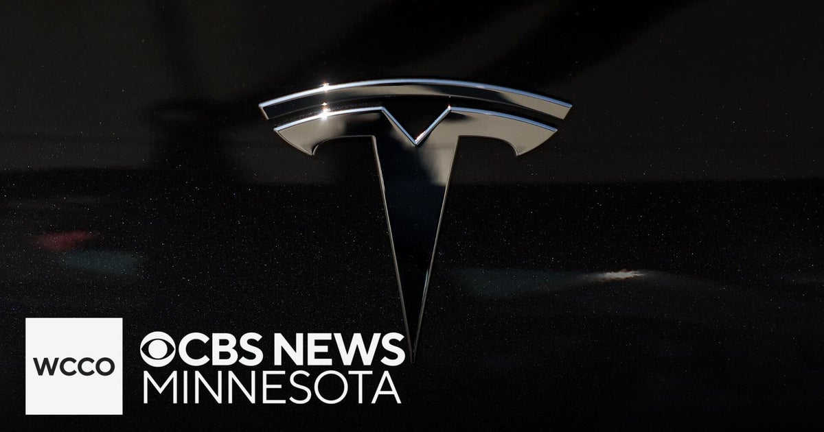Police say they arrested vandal targeting Tesla vehicles in Minneapolis Police say they arrested vandal targeting Tesla vehicles in Minneapolis
