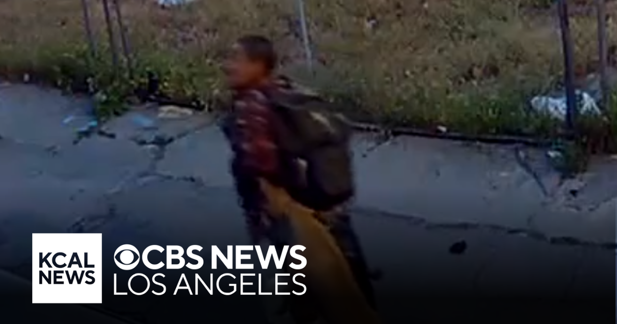 Man Arrested for Dog Abuse Caught on Video in Long Beach