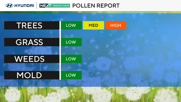 z-pollen-report-meter.png 