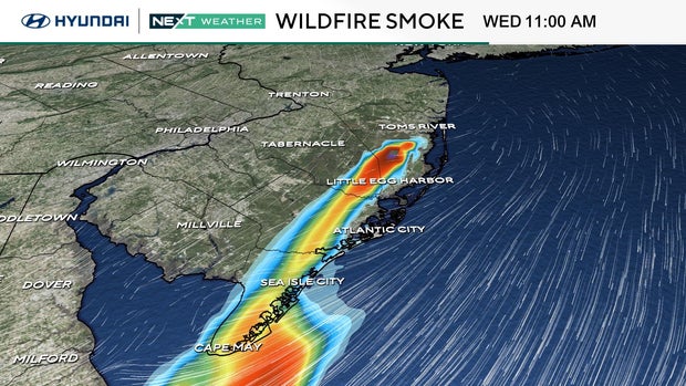 near-surface-wildfire-smoke-tammie.jpg 