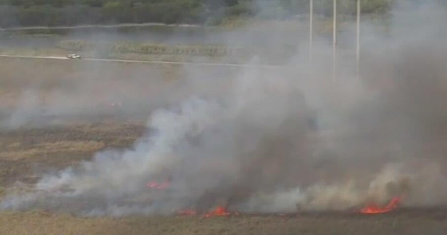 Wester Broward brush fire 100% contained, forest service says