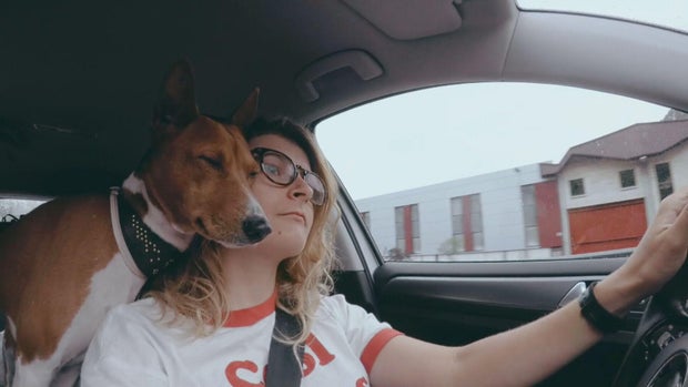 pets-cause-driving-distraction-12vo-transfer-frame-6.jpg 