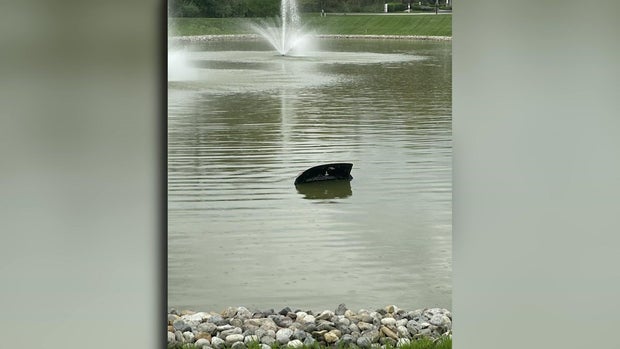The open trunk door of a vehicle sticking out of a pond. The vehicle is not visible. 