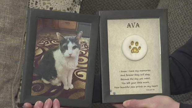 kdka vereb funeral home 