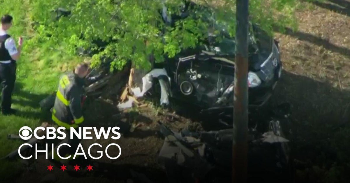 Car plows into tree on DuSable Lake Shore Drive - CBS Chicago