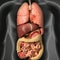 Ozempic and Wegovy ingredient may reverse liver disease