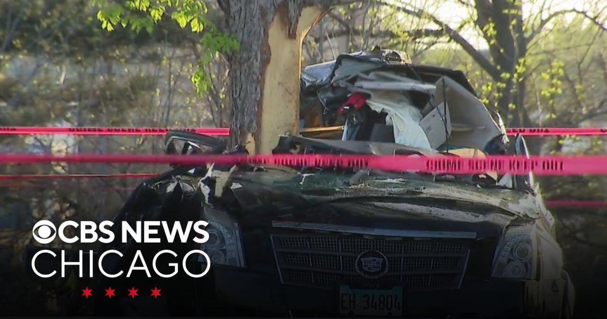 Woman dies when car hits tree on Chicago's DuSable Lake Shore Drive ...
