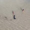 Great white shark stranded in shallow water rescued by locals