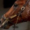 When and where to watch the 2025 Kentucky Derby live tomorrow night
