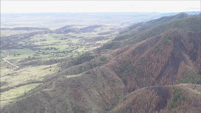 deer-creek-canyon-park-recovery.jpg 