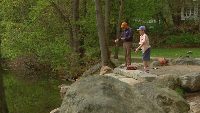 Arlington fishing 