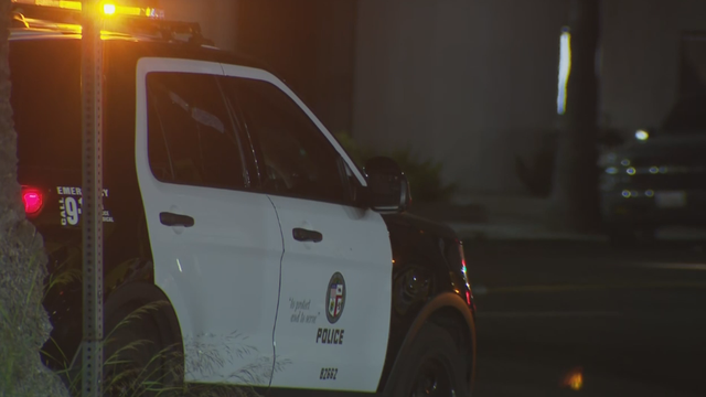 canoga-park-hit-and-run.png 