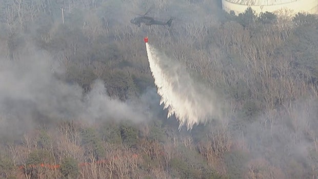 Cape Cod brush fire 