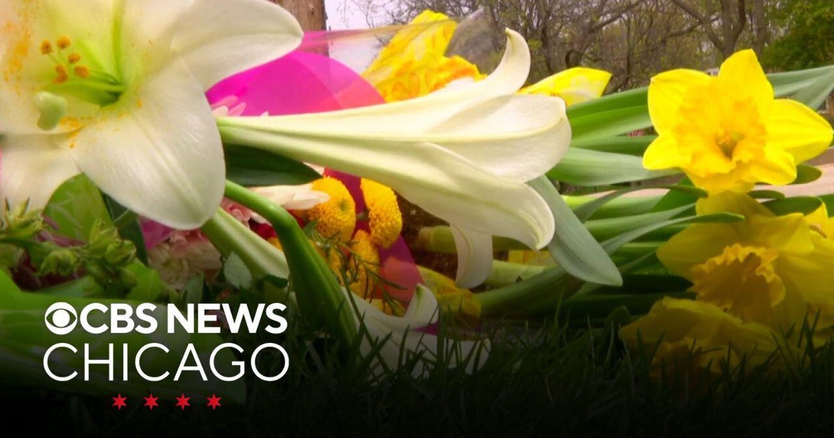 Memorial growing in Winnetka after 2 women killed, baby critically hurt ...