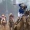 Meet the horses who ran in the Kentucky Derby