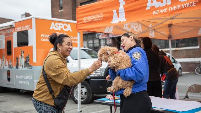 An NYPD officer holds a dog at an ASCPA event. 