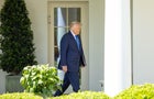 U.S.-WASHINGTON, D.C.-TRUMP-WALTZ-U.S. AMBASSADOR TO UN-NOMINATION 