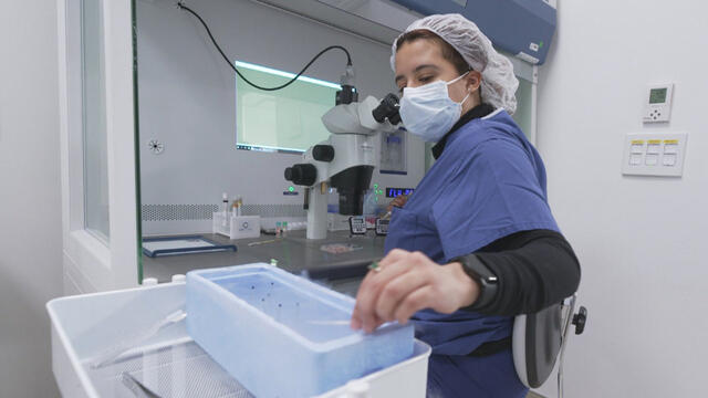 ot-eggfreezing-3730127-640x360.jpg 