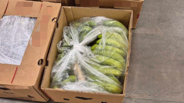 bananas-screenshot-2025-05-05-095001.png 
