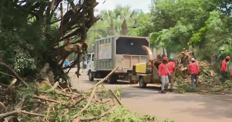 Race to cleanup toppled trees in southern Miami-Dade ahead of Monday’s storms