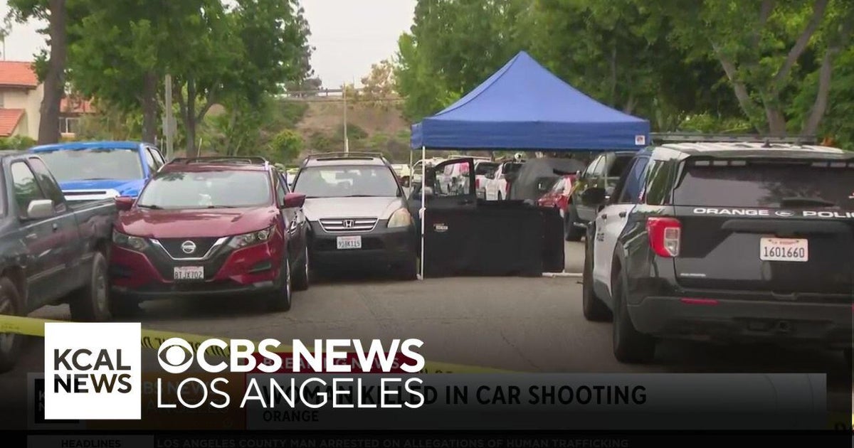 Woman Killed in Orange Drive-By Shooting