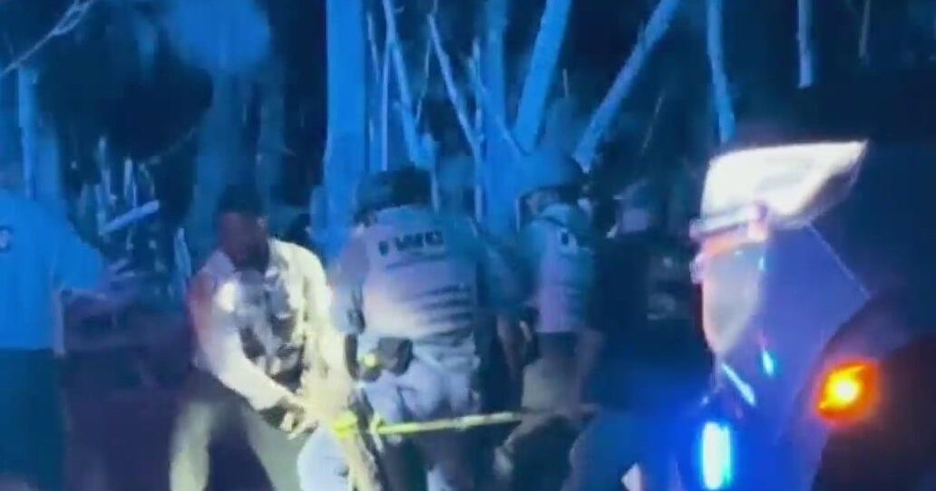 FWC captures bear that may have fatally attacked man, dog near Naples FWC captures bear that may have fatally attacked man, dog near Naples