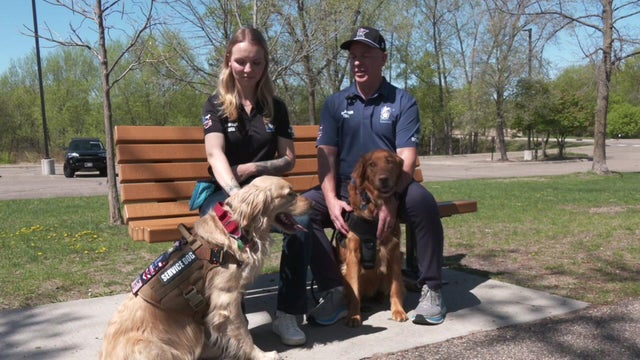 5p-pkg-police-therapy-dogs-wcco7q86.jpg 