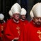 What are American Catholics looking for in the next pope, according to polls?