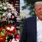Tariffs likely to raise prices on flowers ahead of Mother's Day