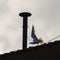 Why the conclave uses black and white smoke to indicate if there's a new pope